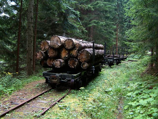 foto č. 007 - Tahle úvraťová železnice se používala při těžbě dřeva.
