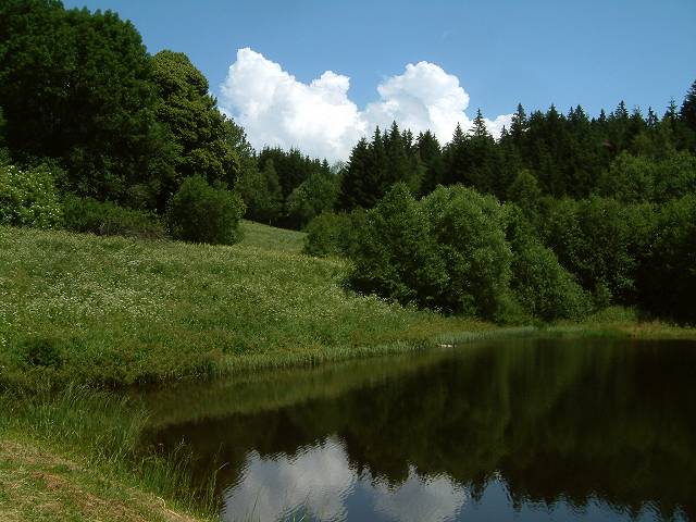 foto č. 014 - Rybník nedaleko Pohorské Vsi.
