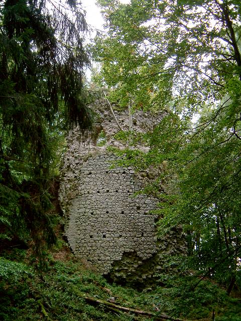 foto č. 034 - Zarostlé zbytky zdí hradu Kynžvart zničeného švédskými vojsky roku 1648.

