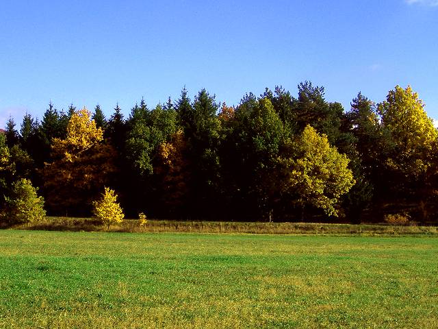 foto č. 002 - Podzimní barvy u Sezímek.
