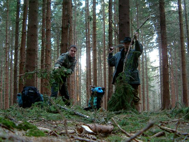 foto č. 007 - V lese u Lanšperka - měkoučkou zelenou vystýlku nám už v lednu připravil orkán Kyrill
