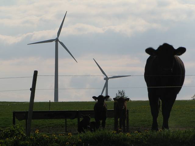 foto č. 029 - Hraničný vrch. Zde se zemědělství pokroku nebojí, když bude hovězímu dobytku vedro, má k dispozici velké větráky.
