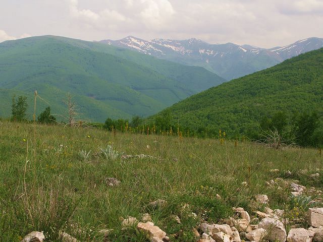 foto č. 004 - Po překonání prvních kopečků se na obzoru objevujou zasněžené vrcholky pohoří Karadžica.
