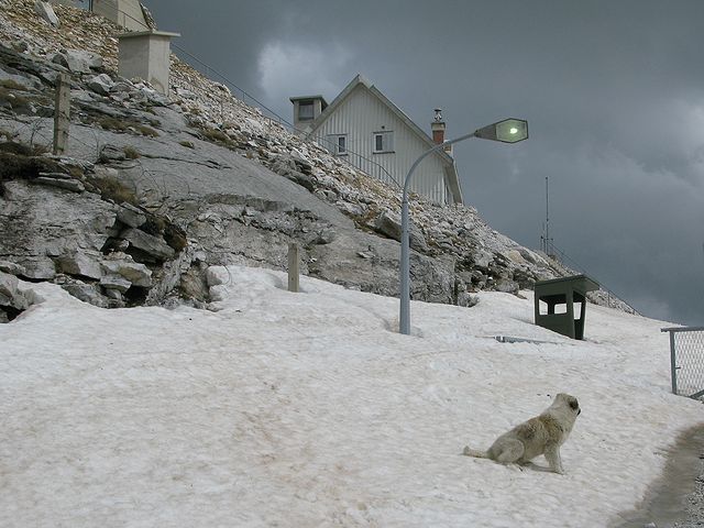 foto č. 029 - Na vrcholu je nepřístupná vojenská základna ostře hlídaná uštěkaným psím duem.
