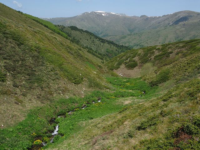 foto č. 094 - Pohled od pramene Brajčinského potoka k zasněženým vrcholkům Pelisteru.
