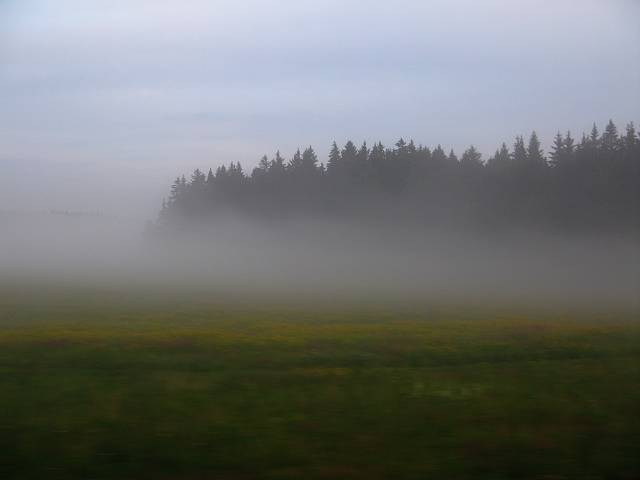 foto č. 001 - Večerní mlha z vlaku mezi Jihlavou a Jindřichovým Hradcem.

