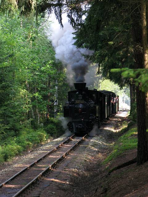 foto č. 002 - Parní vlak JHMD projíždějící Městským lesem.
