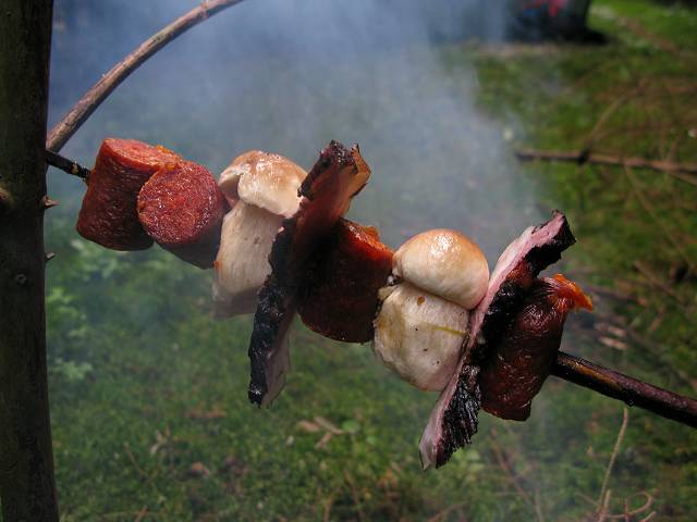 foto č. 018 - Vandrákův houbový špíz - recept je jednoduchý, jednou rukou vyndat z báglu slaninu a klobásy, druhou rukou utrhnout hřiby rostoucí u spacáku a to vše pomalu opékat na ohni. Výsledek je zaručený.
