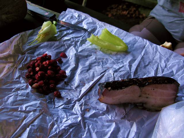 foto č. 006 - Mňam svačinka. Lesní jahody, paprika a Vaškova výborná slanina od Pirníka.
