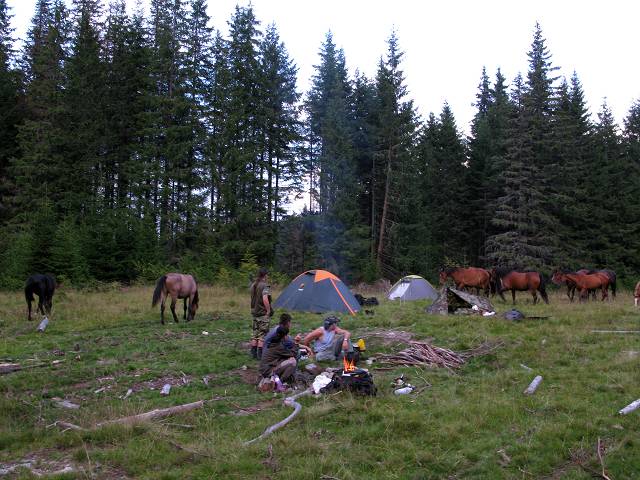 foto č. 036 - Zvědavě chodili okolo stanů a hledali, co by zblajzli. Bylo úžasný poslouchat to horské ticho a pasoucí se koně.
