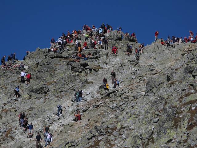 foto č. 017 - Mraveniště. Kdo chce až na vrchol, musí pár lidí pošlapat, jinak nemá šanci.
