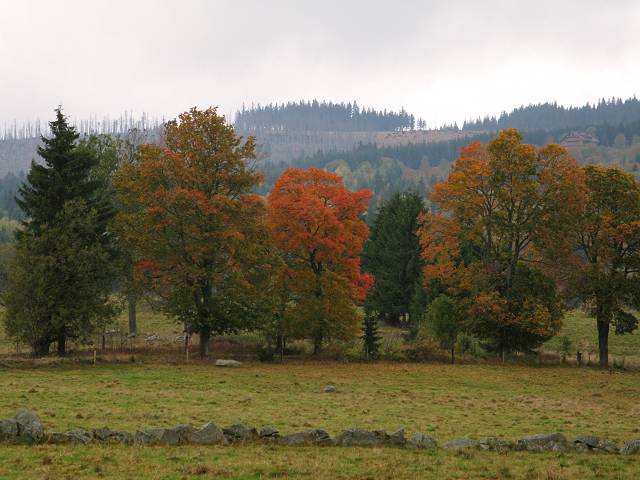 foto č. 051 - Podzim na Knížecích Pláních v plném proudu.
