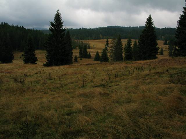 foto č. 053 - Pastviny pod Pomezním vrchem (1057m)
