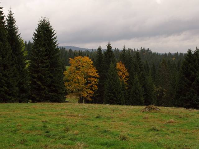 foto č. 055 - Pastviny pod Pomezním vrchem.
