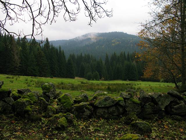 foto č. 058 - Kamenné meze u bývalých Světlých hor.
