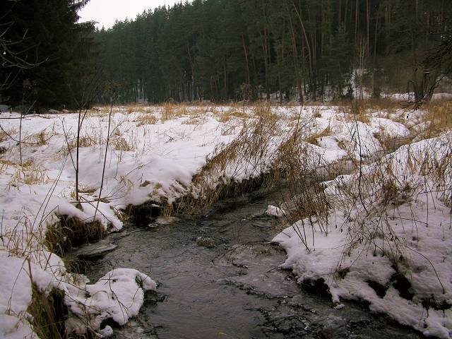 foto č. 014 - Pokračujeme podél Mezholezského potoka k Prostiboři.

