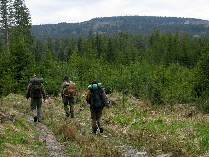 foto č. 004 - Kráčíme lesem blíže k Boleticím.
