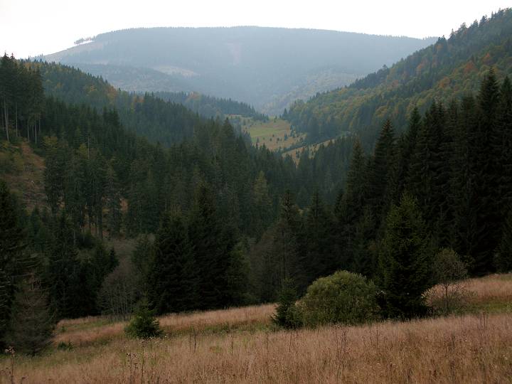 foto č. 016 - Pohled od lesnické chaty k údolí pod Malou Stožkou
