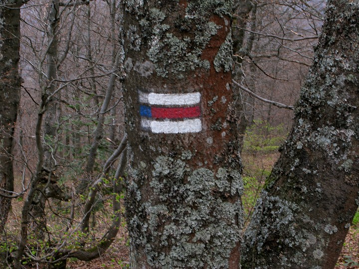 foto č. 052 - Jak může vypadat rivalita slovenských (červená) a polských (modrá) značkařů.
