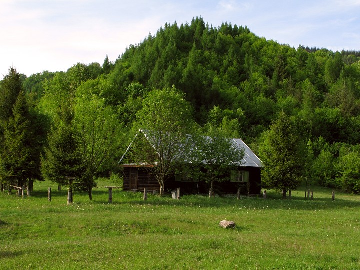 foto č. 095 - Lesní chata na louce u obce Osadné.

