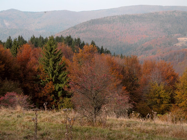 foto č. 012 - Barevný podzim dorazil do Strážovských vrchů.

