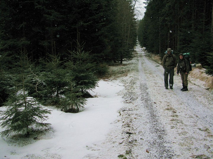 foto č. 014 - Jdeme lesem v poletujícím sněhu a nějak nám pořád nedochází, že opravdu nejsou Vánoce.
