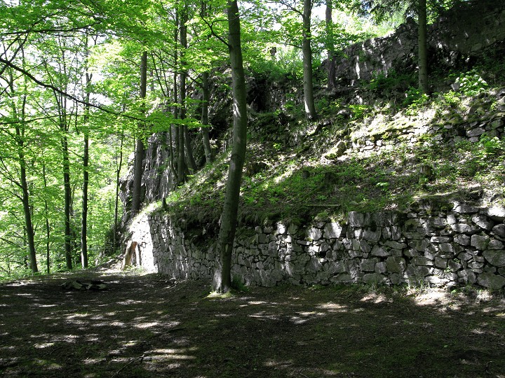 foto č. 052 - Mohutné pozůstatky Rychlebského hradu.
