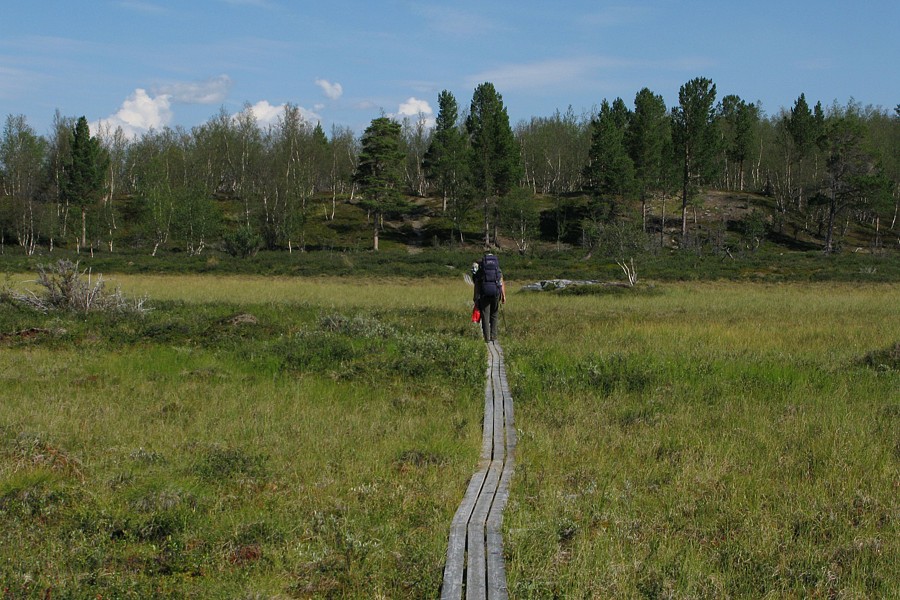 foto č. 182 - Dřevěný chodník přes močál.
