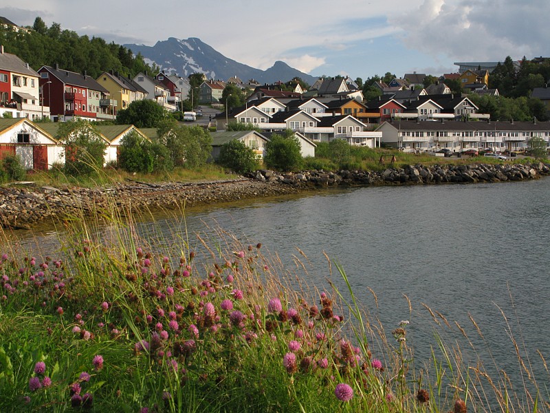 foto č. 203 - Narvik.
