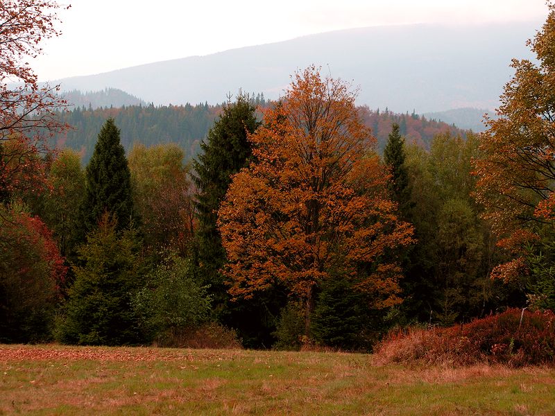 foto č. 028 - Podzimě vybarvené Beskydy.
