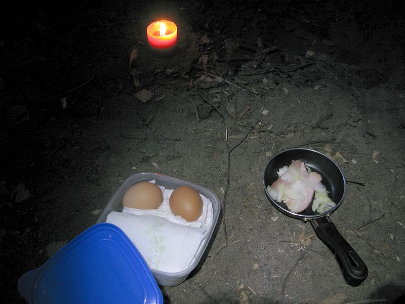 foto č. 027 - Dělám si na mikropánvičce krkovičku na cibuli s vejcem a slintám si přitom do bot.
