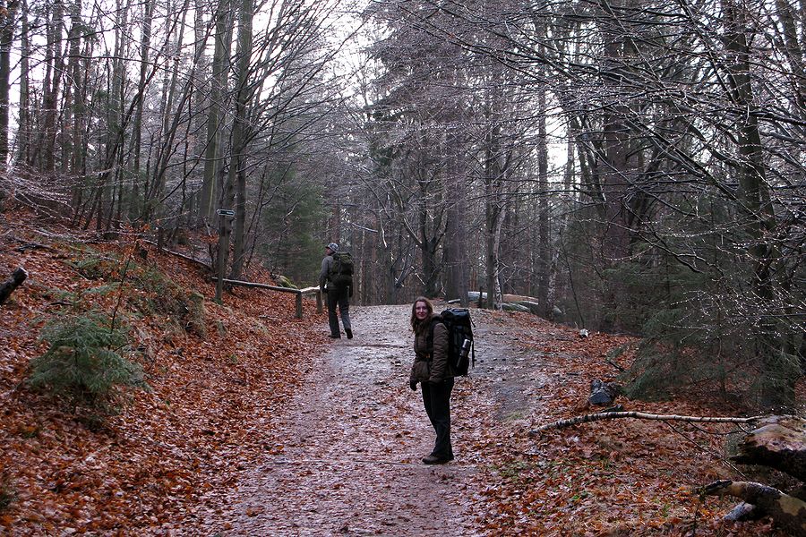 foto č. 010 - Nemáme tak dobrodružnou náladu jako Helmut a tak kašlem na ledové žebříky a pokojně kráčíme lesem směr Schmilka a Hřensko.

