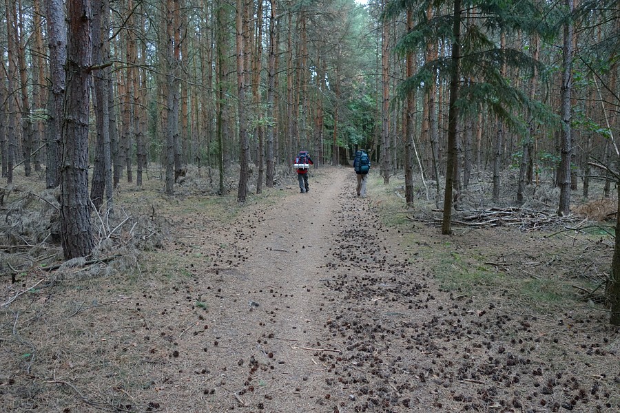 foto č. 005 - Cestou lesem do Jabkenic.
